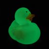 Glow in the Dark Ducks