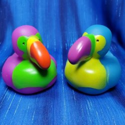 Toucan Rubber Duck Duo