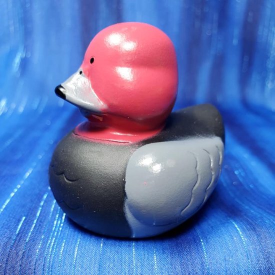 Decoy Red Head Rubber Duck - Click Image to Close