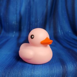 Pink Rubber Ducky