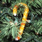 Duck Candy Cane