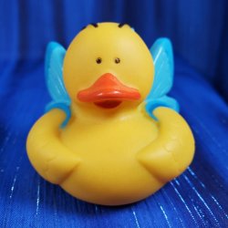 Blue Butterfly Rubber Duck