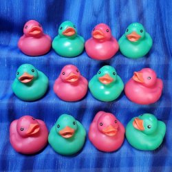 12 Red & Green Floating Rubber Ducks