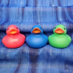 Blue, Green, and Red Floating Rubber Ducks