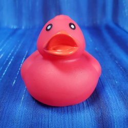 Red Floating Rubber Duck