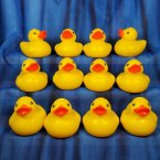 12 Yellow Floating Rubber Ducks