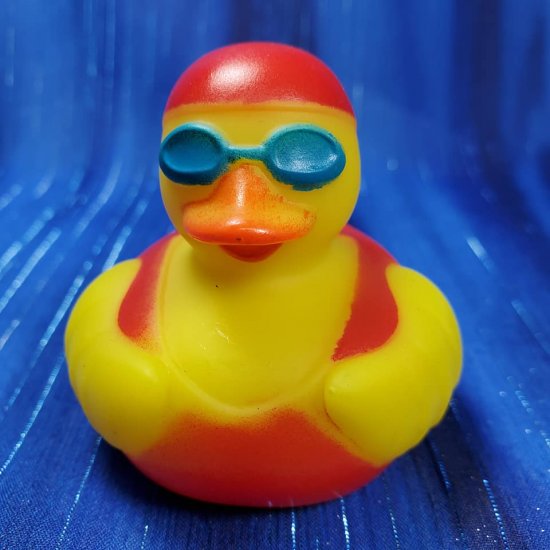 Rubber Duck Swimmer 
