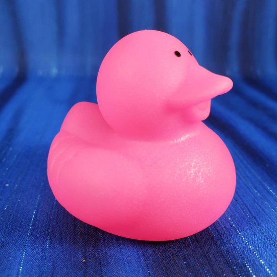 Neon Pink Rubber Duck - Click Image to Close