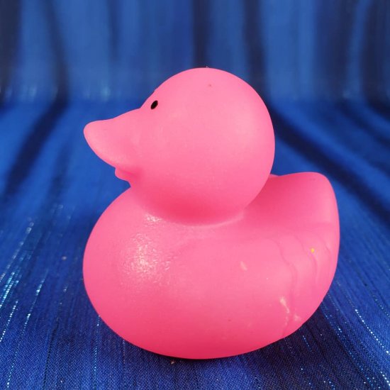 Neon Pink Rubber Duck - Click Image to Close