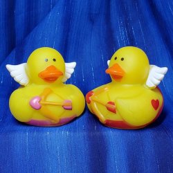Cupid Rubber Duck Duo