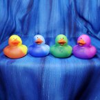 Color Change Rubber Ducks