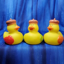 Acorn Rubber Duck Trio