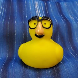 Classic Gag Rubber Duck with a Big Nose and Bushy Eyebrows