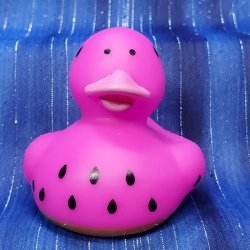Watermelon Summer Fruit Rubber Duck