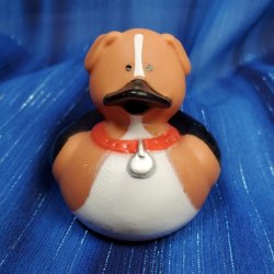 Beagle Dog Rubber Duck - Randy