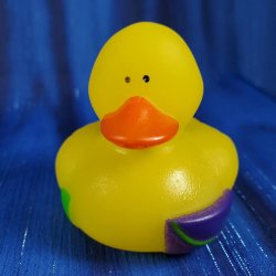 Beach Party Rubber Duck Phil and Pail