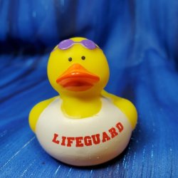 Lifeguard Rubber Duck Mitch