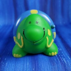 Tubin' Turtle