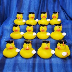 12 Graduation Rubber Ducks with No Robes