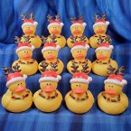 12 Christmas Reindeer Rubber Ducks