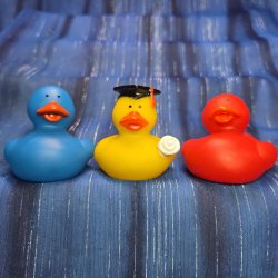 Graduation Rubber Duck Trio Blue Diploma Red