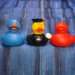 Graduation Rubber Duck Trio Blue Gown Red