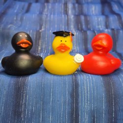 Graduation Rubber Duck Trio Black Diploma Red