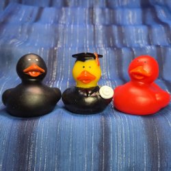 Graduation Rubber Duck Trio Black Gown Red