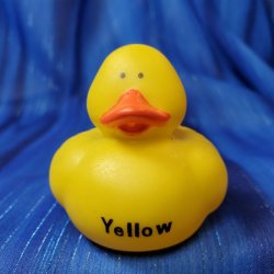 Primary Colors Rubber Duck - Yellow