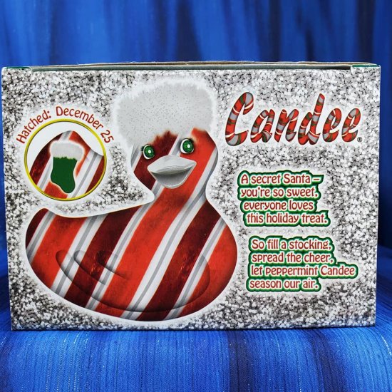 Candee Cinnamon Scented Rubba Duck - Click Image to Close